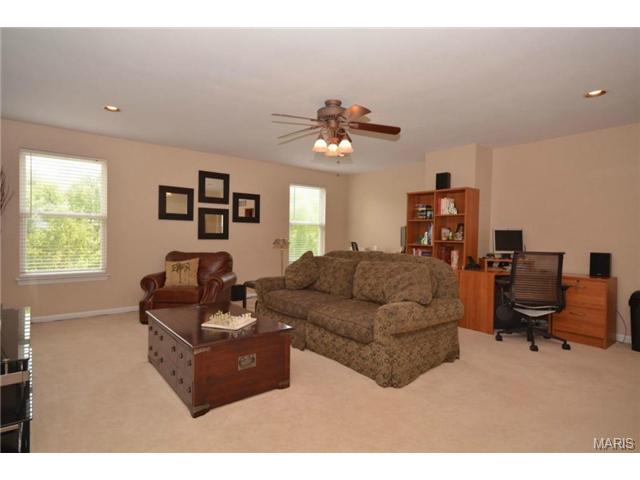 412 Copper Tree Trl, O'fallon, MO 63368 photo 14