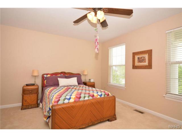 412 Copper Tree Trl, O'fallon, MO 63368 photo 22
