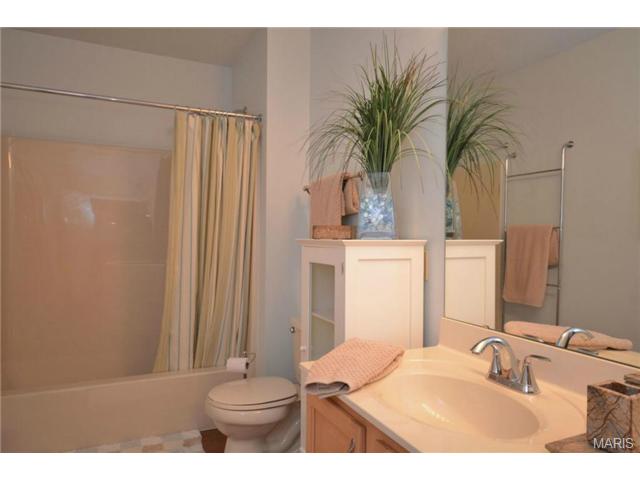 412 Copper Tree Trl, O'fallon, MO 63368 photo 23