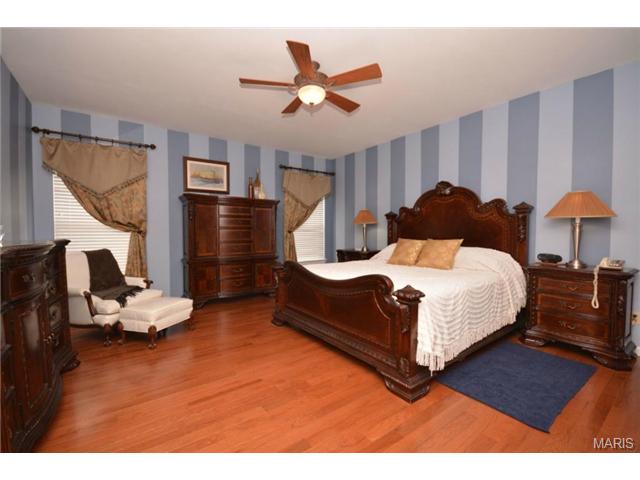 412 Copper Tree Trl, O'fallon, MO 63368 photo 16