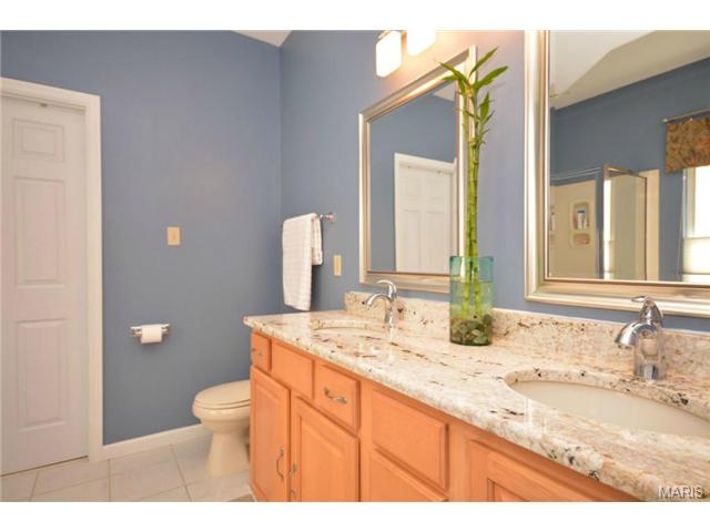 412 Copper Tree Trl, O'fallon, MO 63368 photo 18