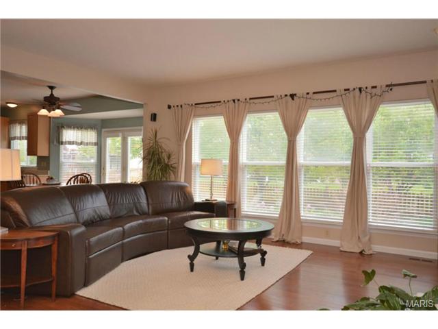 412 Copper Tree Trl, O'fallon, MO 63368 photo 4