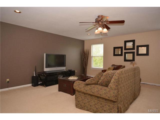 412 Copper Tree Trl, O'fallon, MO 63368 photo 15