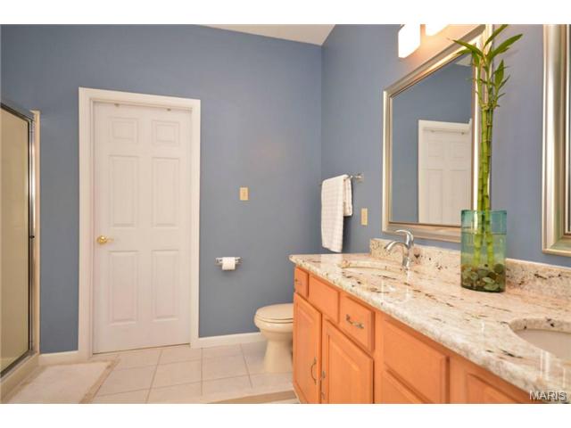 412 Copper Tree Trl, O'fallon, MO 63368 photo 19