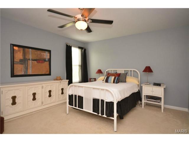 412 Copper Tree Trl, O'fallon, MO 63368 photo 24