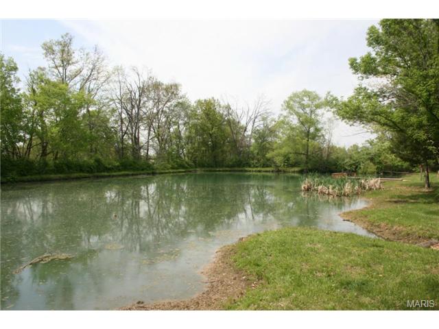 6 Summer, O'fallon, MO 63366 photo 41