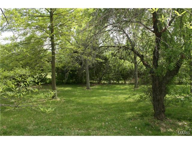 6 Summer, O'fallon, MO 63366 photo 31