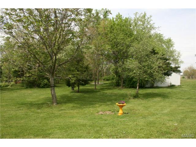 6 Summer, O'fallon, MO 63366 photo 39
