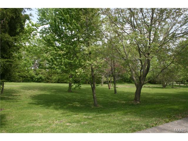 6 Summer, O'fallon, MO 63366 photo 34