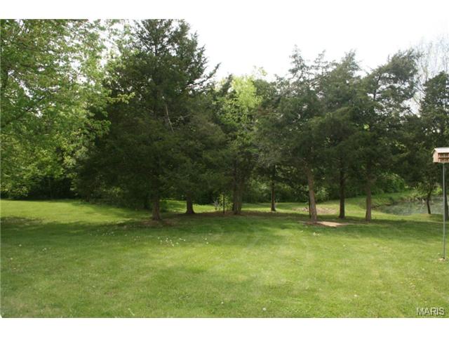 6 Summer, O'fallon, MO 63366 photo 36