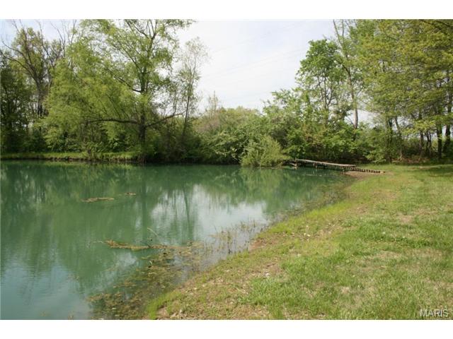 6 Summer, O'fallon, MO 63366 photo 44