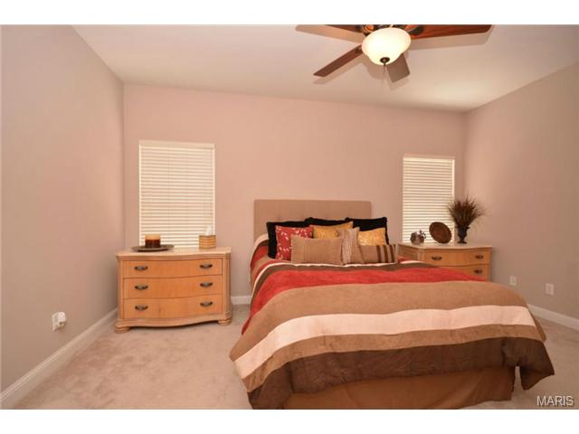 735 Castle Tower, Ballwin, MO 63021 photo 44