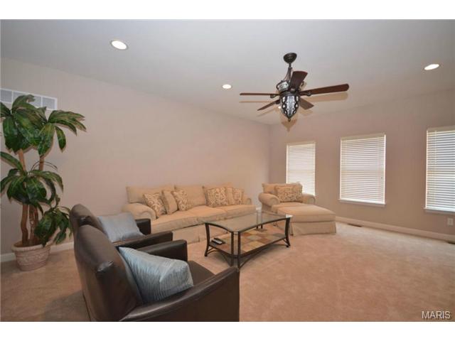 735 Castle Tower, Ballwin, MO 63021 photo 41