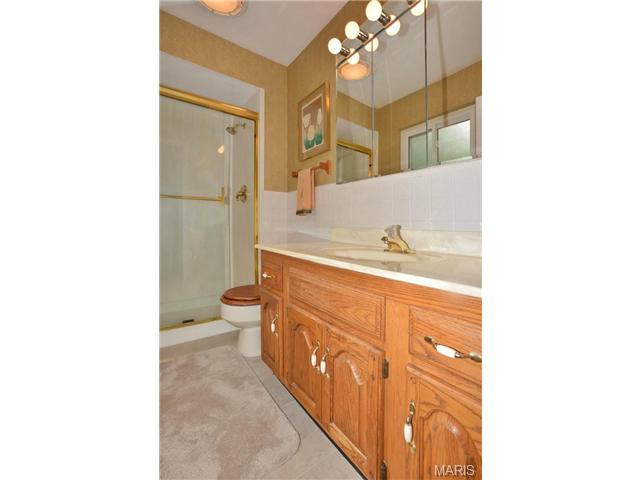 253 Pine Tree Ln, Ballwin, MO 63011 photo 10