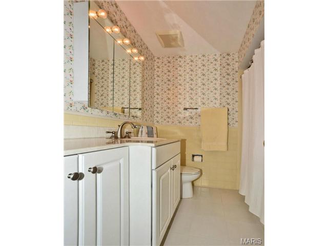253 Pine Tree Ln, Ballwin, MO 63011 photo 14