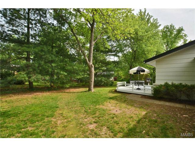 253 Pine Tree Ln, Ballwin, MO 63011 photo 20
