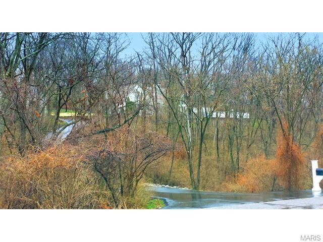 5331 Ringer Rd, Saint Louis, MO 63129 photo 4