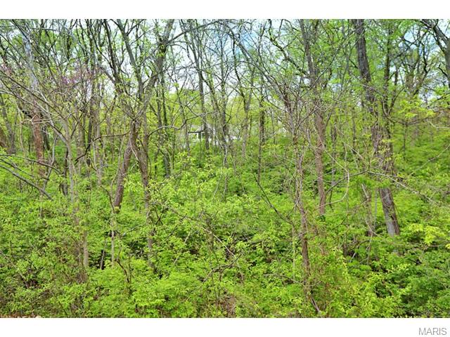 5331 Ringer Rd, Saint Louis, MO 63129 photo 53