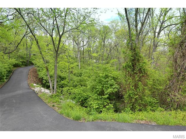 5331 Ringer Rd, Saint Louis, MO 63129 photo 54