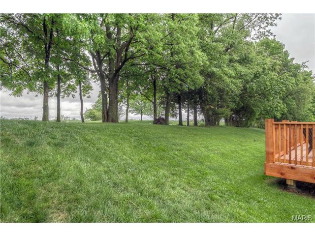 2877 Bromley, O'fallon, MO 63368 photo 25