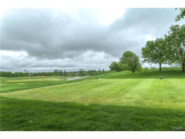 2877 Bromley, O'fallon, MO 63368 photo 26