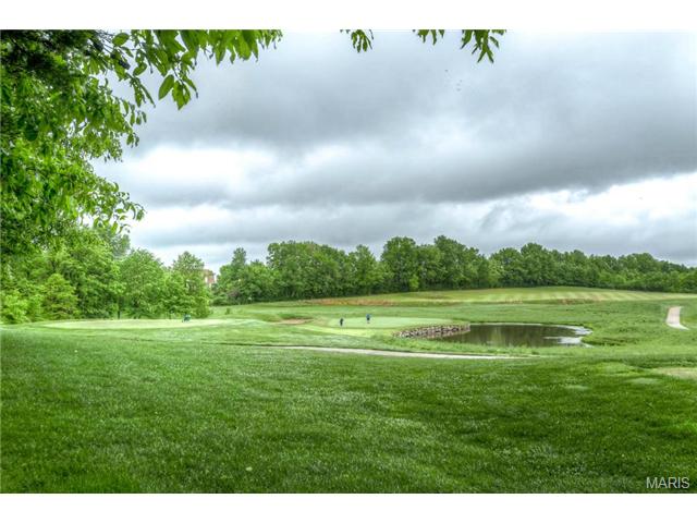 2877 Bromley, O'fallon, MO 63368 photo 27
