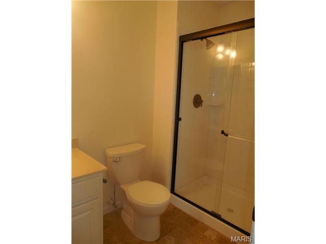 432 Tailor Ln, O'fallon, MO 63368 photo 14