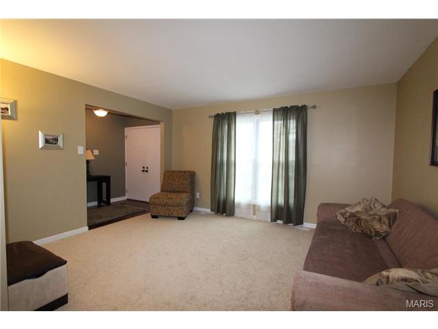 329 Brightfield Trl, Ballwin, MO 63021 photo 8