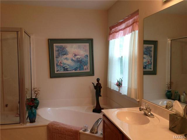 1010 Beldar Ln, Eureka, MO 63025 photo 29