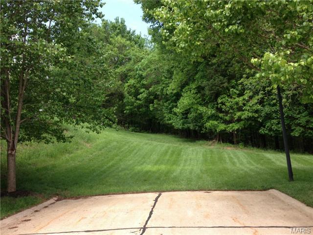 1010 Beldar Ln, Eureka, MO 63025 photo 41