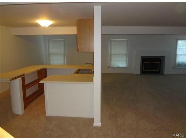2 Broadridge Ct, Black Jack, MO 63033 photo 55