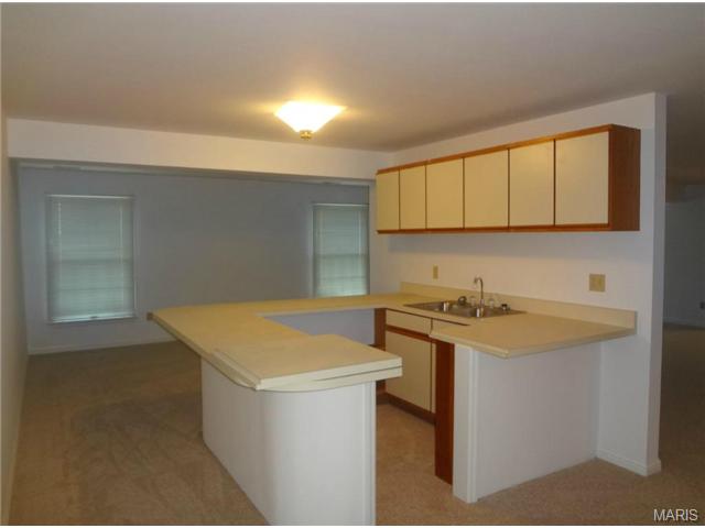2 Broadridge Ct, Black Jack, MO 63033 photo 53