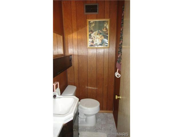 403 Saint Patrick Dr, O'fallon, MO 63366 photo 23