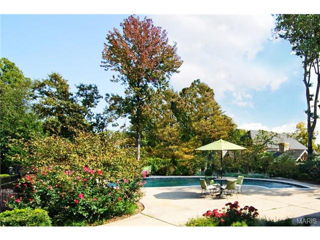 60 Daniel Rd, Ladue, MO 63124 photo 23