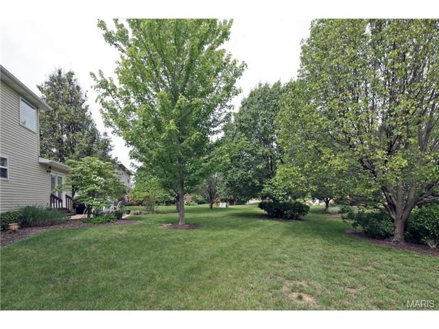 111 Middlesburg Ct, O'fallon, MO 63368 photo 18
