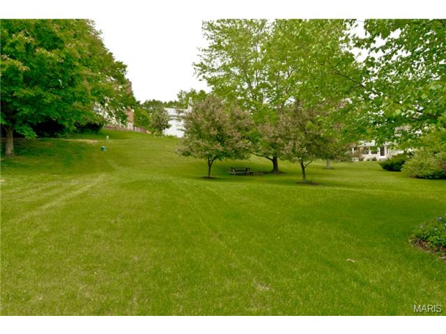 545 Huntley Hts, Ballwin, MO 63021 photo 34