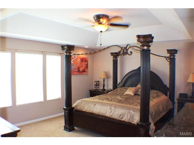 743 Ashton Way, Eureka, MO 63025 photo 11