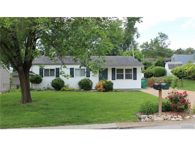 218 Heyden Dr, Eureka, MO 63025 photo 11