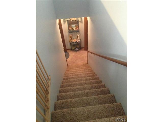 4 Mary Dee Ct, O'fallon, MO 63368 photo 10