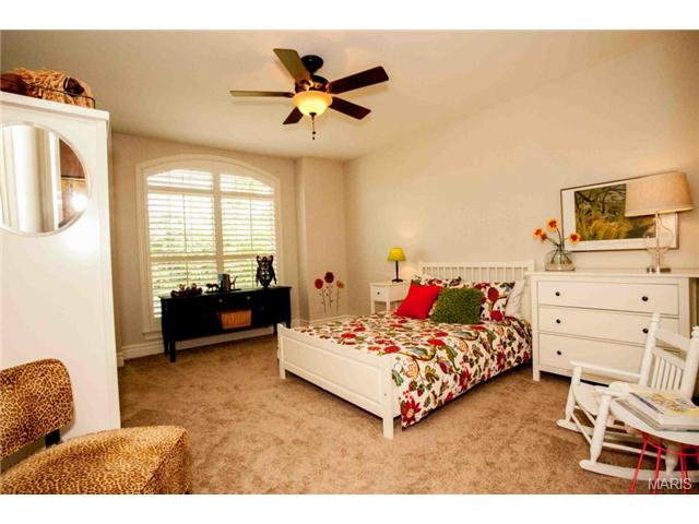 970 Stonecastle Dr, O'fallon, MO 63366 photo 46