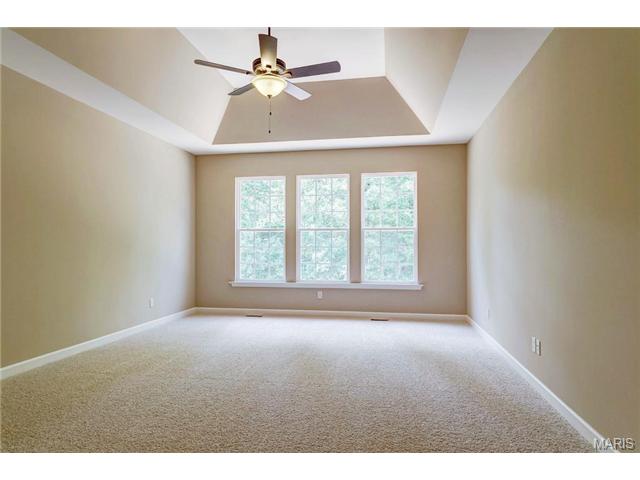 43 Gateview Ct, Wentzville, MO 63385 photo 18