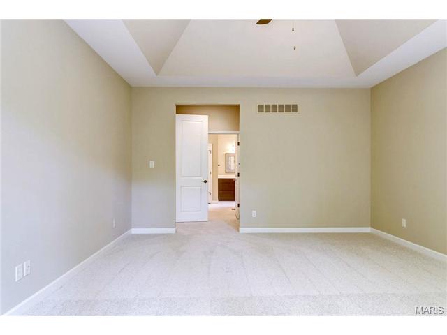 43 Gateview Ct, Wentzville, MO 63385 photo 19