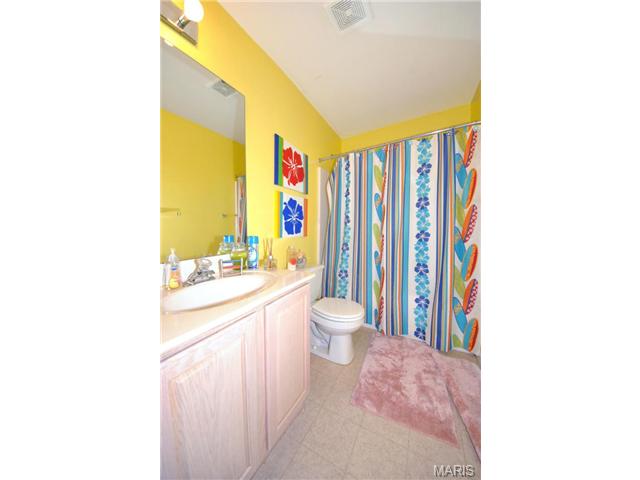 166 Valleybrook Dr, O'fallon, MO 63368 photo 19