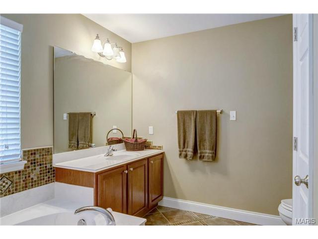 810 Aston Way Dr, O'fallon, MO 63368 photo 18