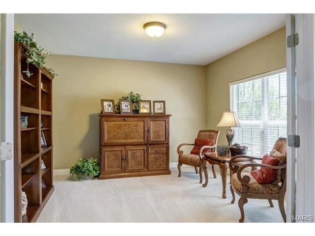 810 Aston Way Dr, O'fallon, MO 63368 photo 4
