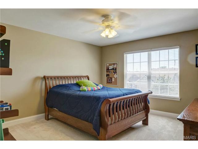 810 Aston Way Dr, O'fallon, MO 63368 photo 22