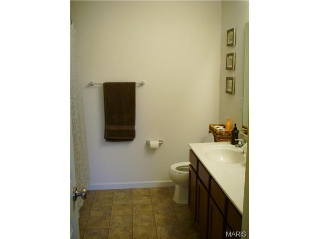 414 Wynchat Dr, O'fallon, MO 63366 photo 20