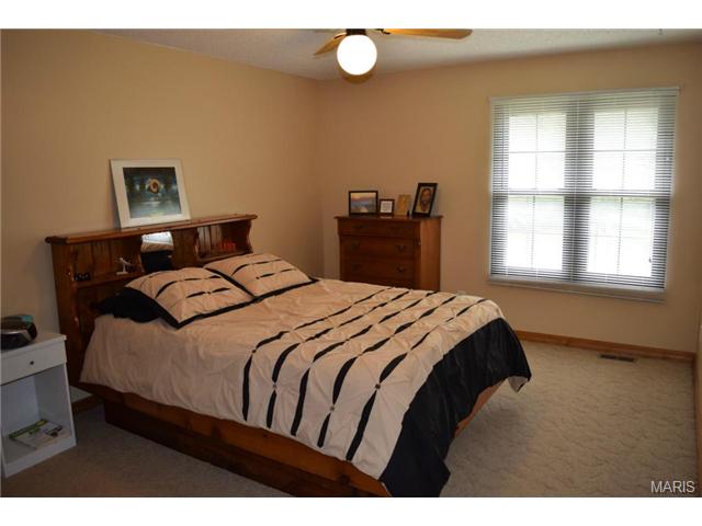 242 Walden Ct, Eureka, MO 63025 photo 19