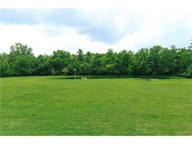 305 Bridle Path Ln, O'fallon, MO 63366 photo 4