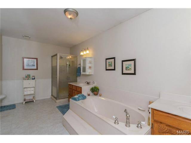 305 Bridle Path Ln, O'fallon, MO 63366 photo 28